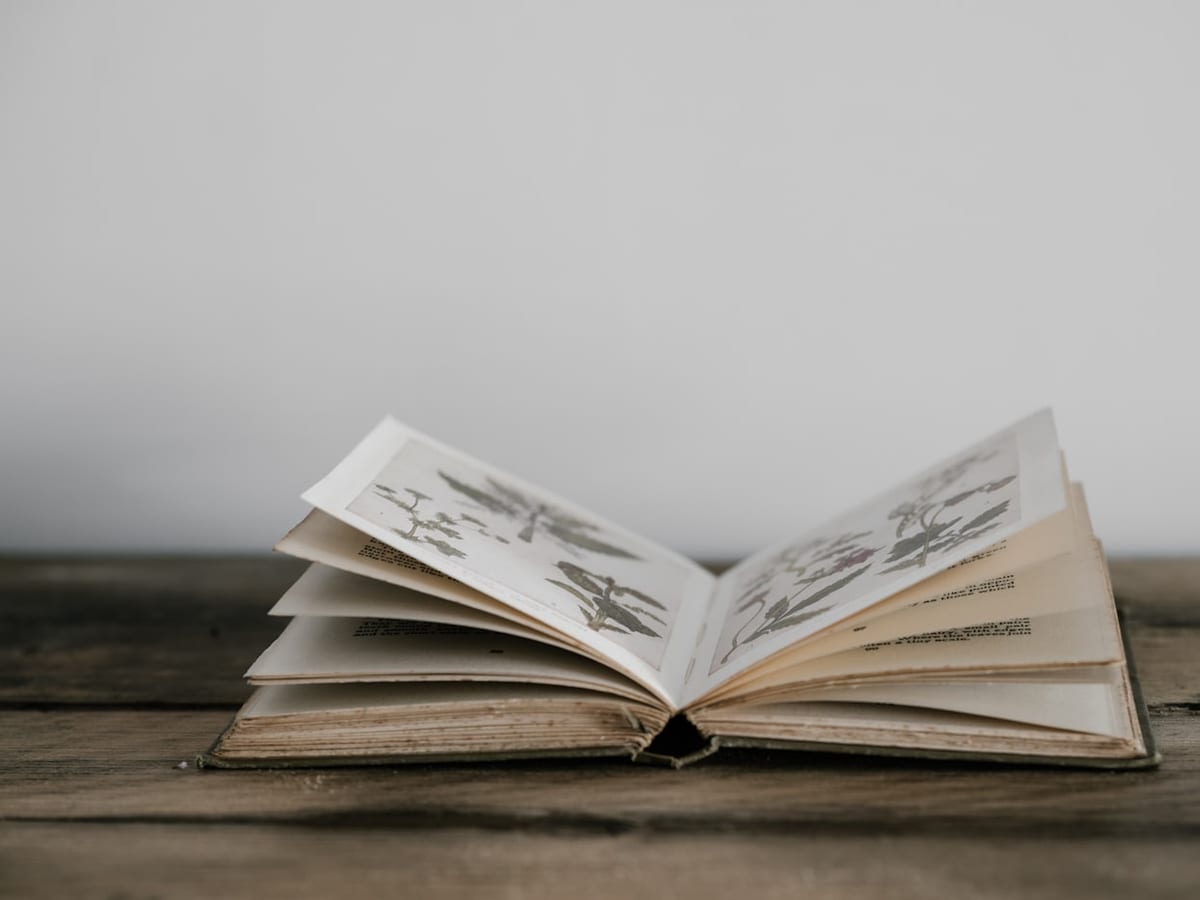 The Maker's Field Guide